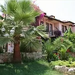 Apartment Caretta