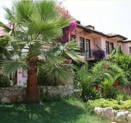 Apartment Caretta