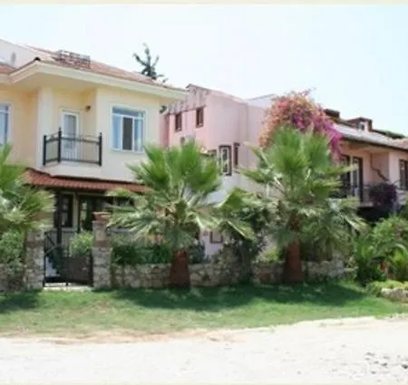 Caretta Fethiye